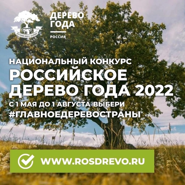 Выбираем Российское дерево года — 2022!